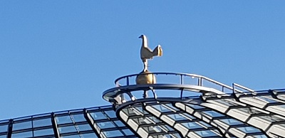 The Cockerel stands proudly over New White Hart Lane!