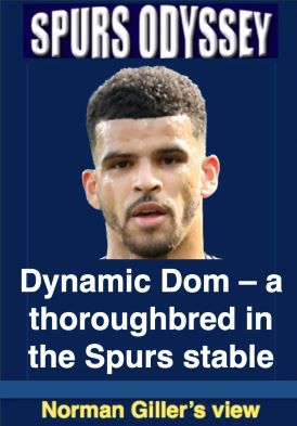 Dynamic Dom - a thoroughbred in the Spurs stable