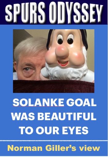 Solanke goal was beautiful to our eyes