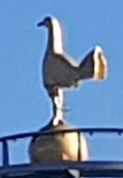 The Cockerel shones above New White Hart Lane